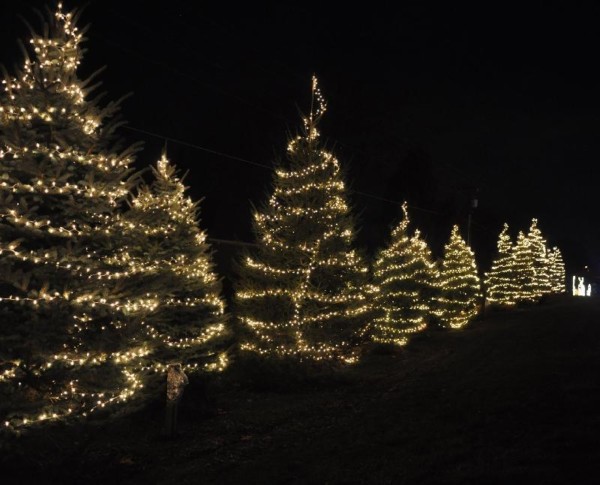 Holidays at Greshman 2014