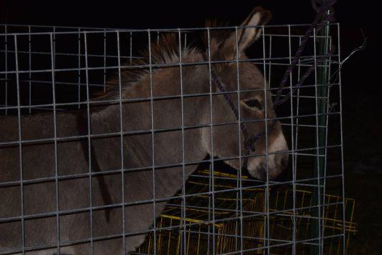 115